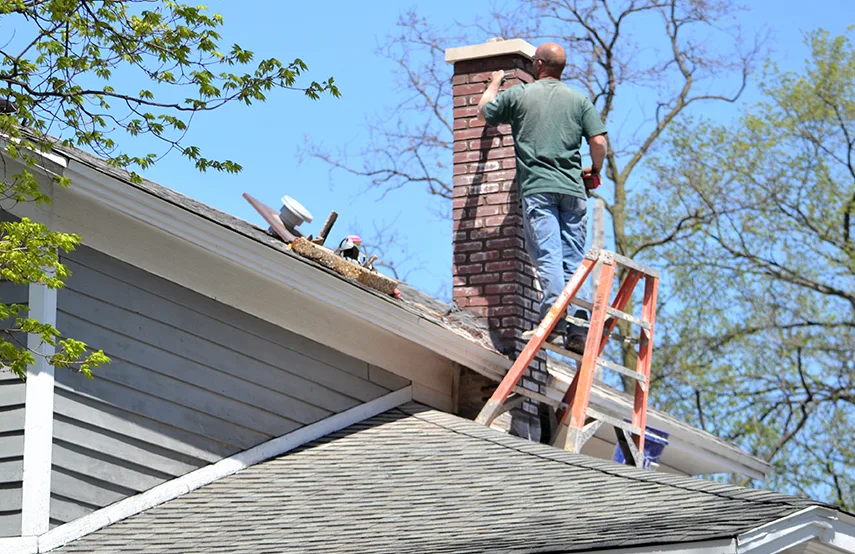 Chimney & Fireplace Inspections Services in Greenbelt, MD